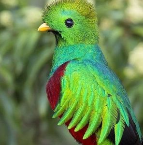 Meet your Posher, Moisés